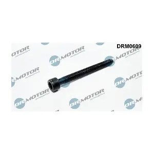 DRM0609 LIZARTE