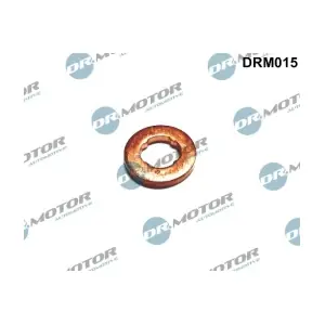 DRM015 LIZARTE
