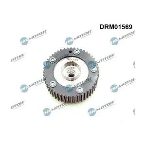 DRM01569 LIZARTE