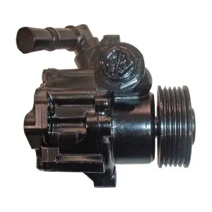 53533 LIZARTE