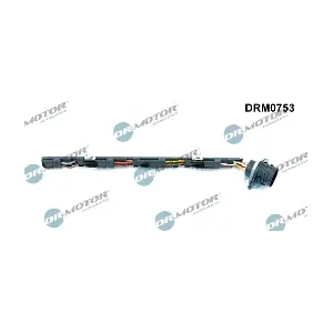 LIZARTE DRM0753