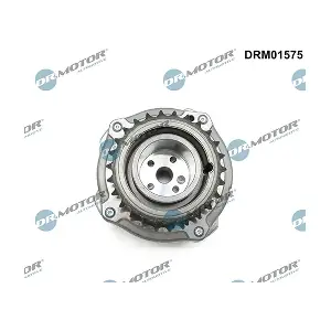 DRM01575 LIZARTE