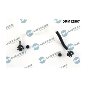 DRM12507 LIZARTE