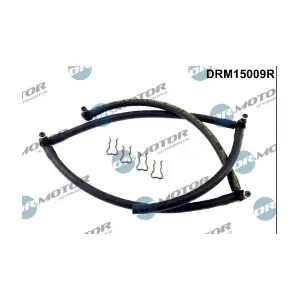 DRM15009R LIZARTE