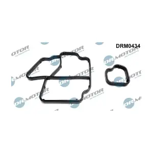 DRM0434 LIZARTE