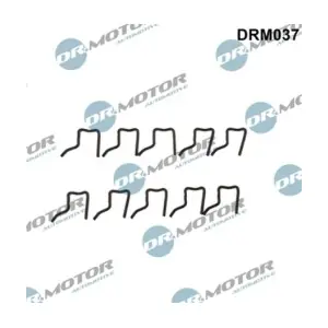DRM037 LIZARTE