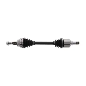 LIZARTE DS1229
