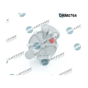 DRM0764 LIZARTE