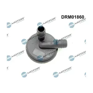 LIZARTE DRM01860