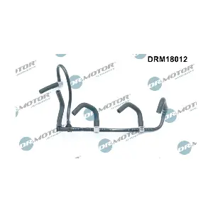 DRM18012 LIZARTE