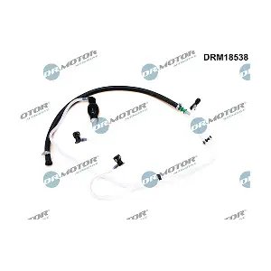 DRM18538 LIZARTE
