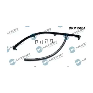 DRM15004 LIZARTE