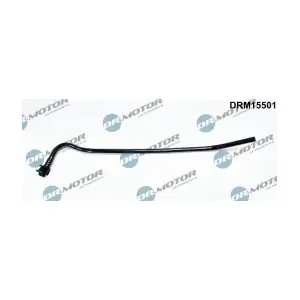 DRM15501 LIZARTE