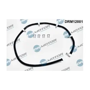DRM12001 LIZARTE