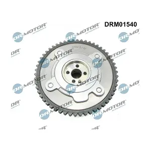 DRM01540 LIZARTE