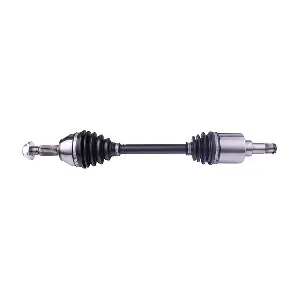 LIZARTE DS0355