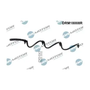 DRM18008R LIZARTE