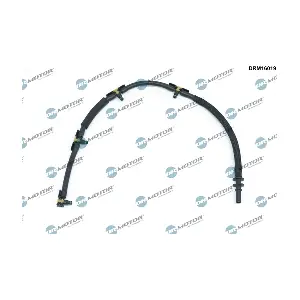 DRM16019 LIZARTE