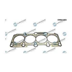DRM21229 LIZARTE