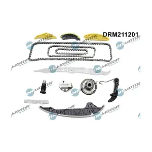 DRM211201 LIZARTE