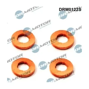 LIZARTE DRM0122S