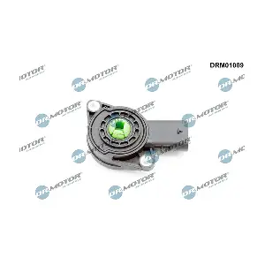 DRM01009 LIZARTE