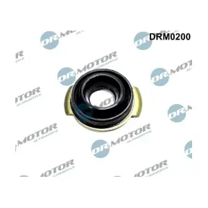 DRM0200 LIZARTE
