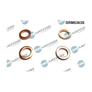 DRM0363S LIZARTE