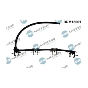 DRM18001 LIZARTE