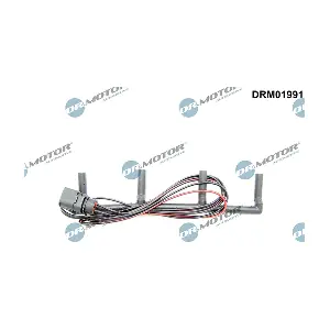 DRM01991 LIZARTE