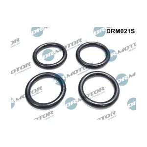 DRM021S LIZARTE