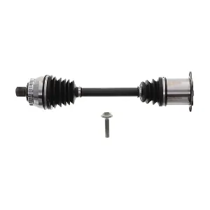 DS0386 LIZARTE