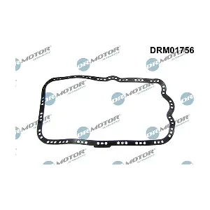 DRM01756 LIZARTE