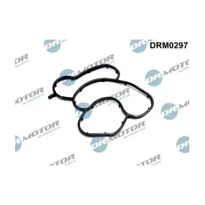 DRM0297 LIZARTE