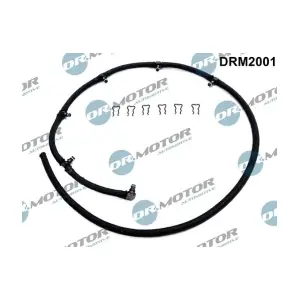 DRM2001 LIZARTE