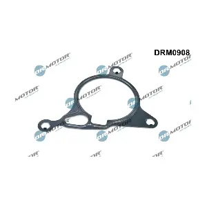 DRM0908 LIZARTE