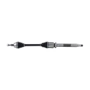 LIZARTE DS1226
