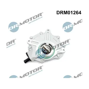 DRM01264 LIZARTE