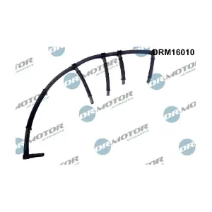 DRM16010 LIZARTE