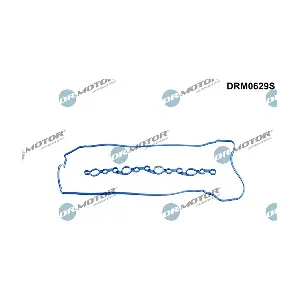 DRM0629S LIZARTE