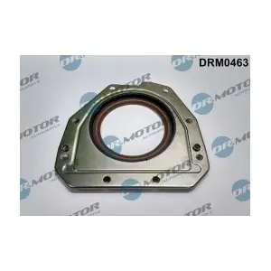 DRM0463 LIZARTE