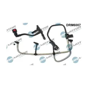 DRM6007 LIZARTE