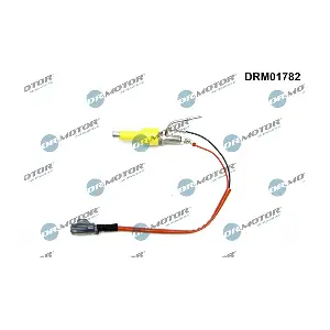 DRM01782 LIZARTE