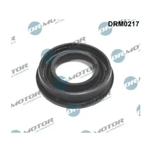 LIZARTE DRM0217
