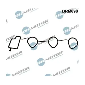 DRM098 LIZARTE