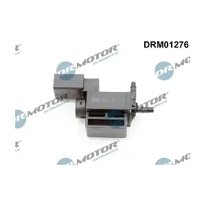 DRM01276 LIZARTE