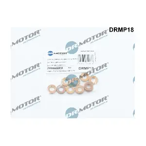 DRMP18 LIZARTE