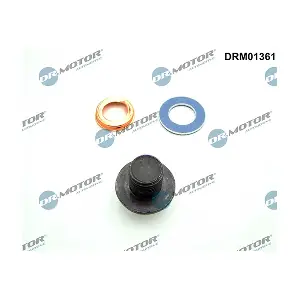 DRM01361 LIZARTE