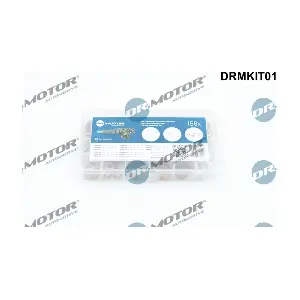 LIZARTE DRMKIT01