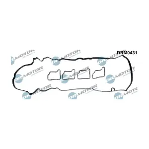 DRM0431 LIZARTE
